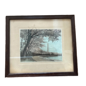VTG Framed Print of Washington Monument w/ Cherry Blossoms Historic DC Wall Art
